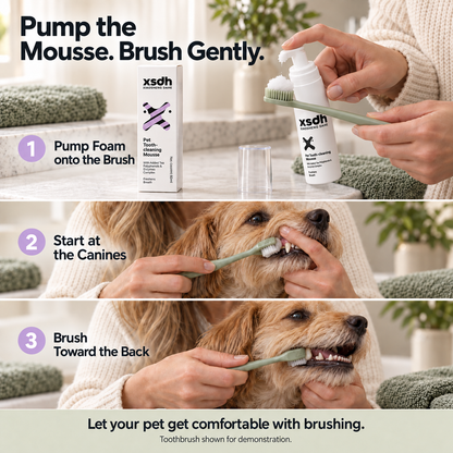 XSDH Pet Dental Mousse – 60 mL