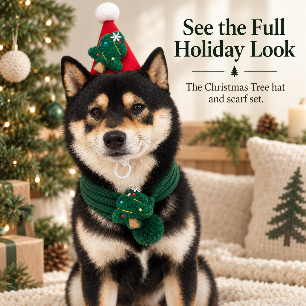 Christmas Pet Hat & Scarf Set