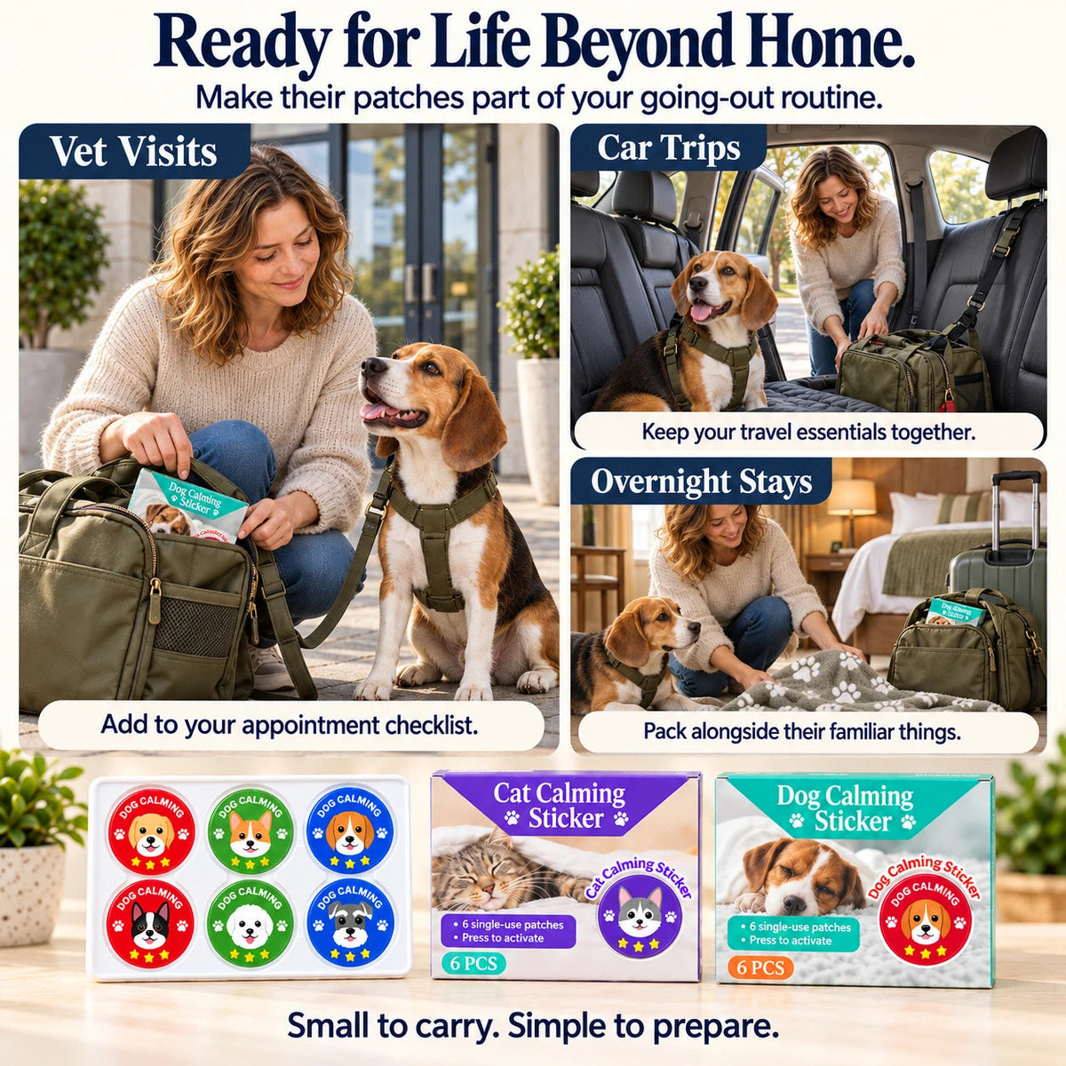 Vet visits, car trips and overnight stays